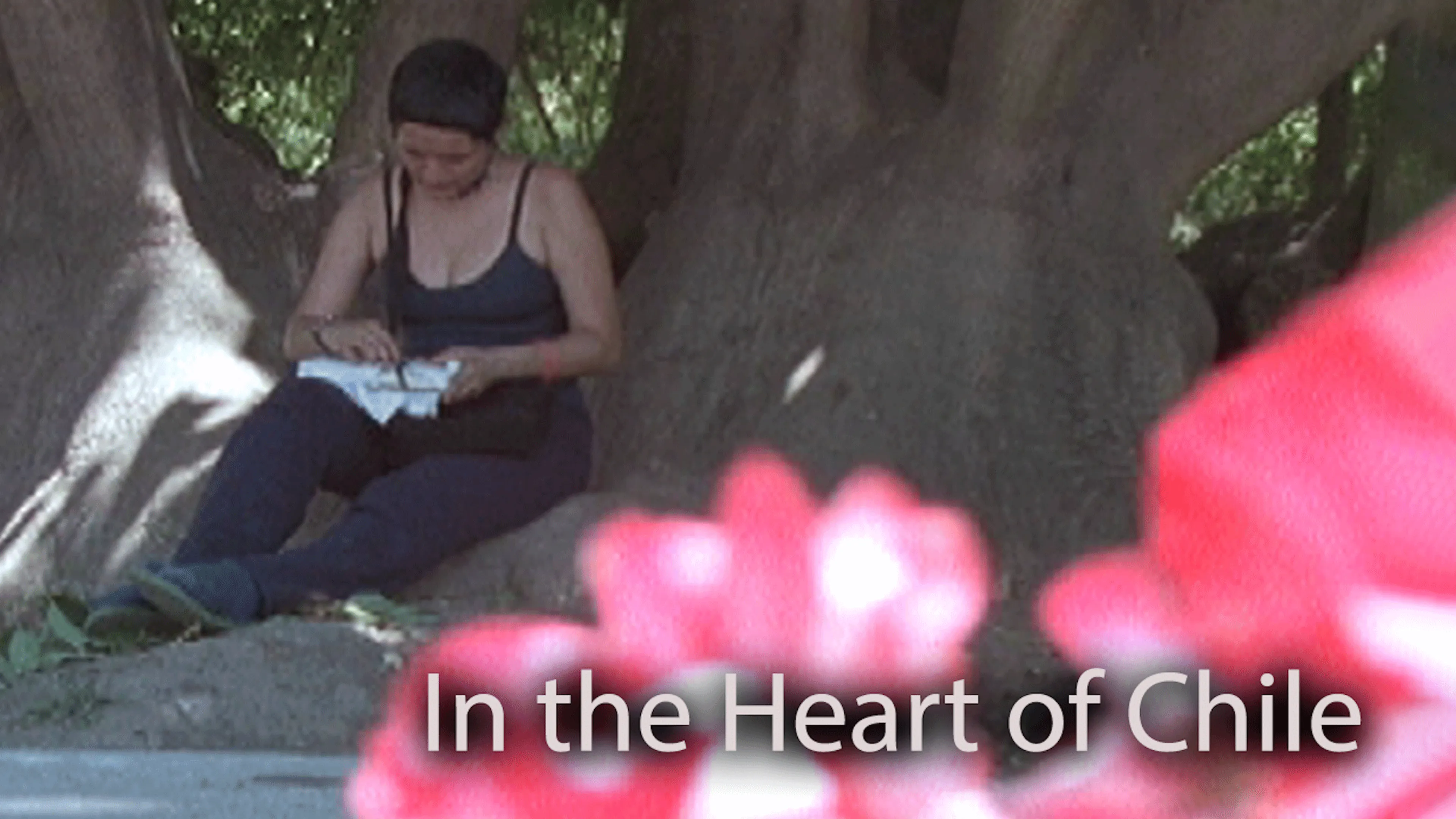 In the Heart of Chile poster